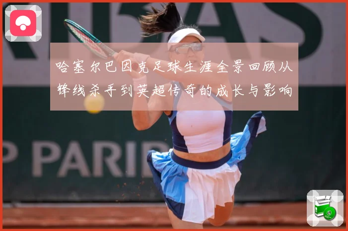 哈塞尔巴因克足球生涯全景回顾从锋线杀手到英超传奇的成长与影响