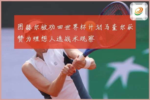 图赫尔被劝回世界杯计划马奎尔获赞为理想人选战术观察