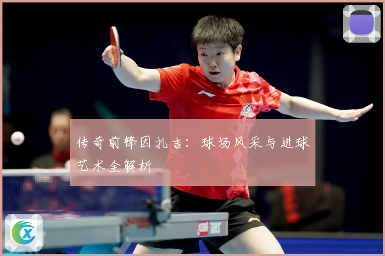 传奇前锋因扎吉：球场风采与进球艺术全解析