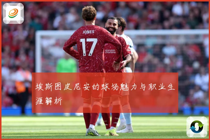埃斯图皮尼安的球场魅力与职业生涯解析