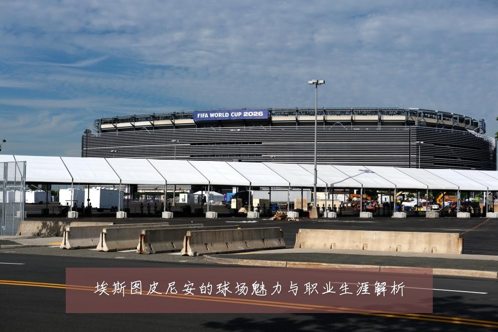 埃斯图皮尼安的球场魅力与职业生涯解析