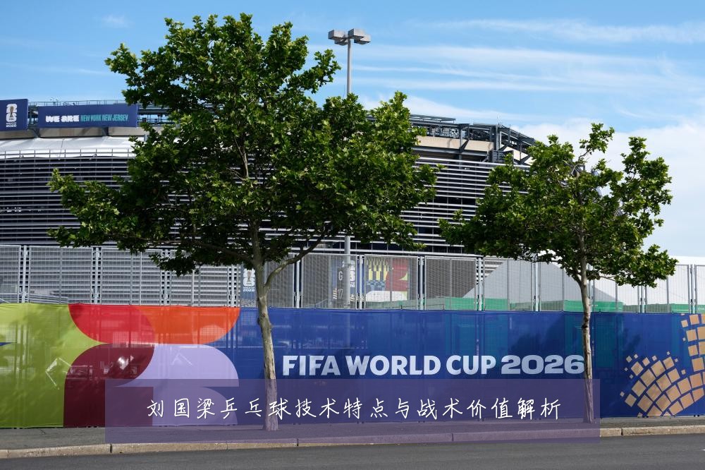 刘国梁乒乓球技术特点与战术价值解析