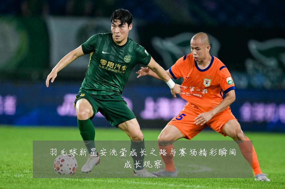 羽毛球新星安洗莹成长之路与赛场精彩瞬间成长观察