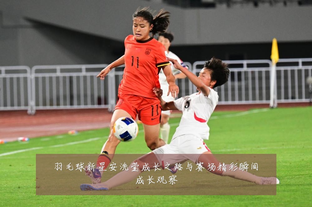 羽毛球新星安洗莹成长之路与赛场精彩瞬间成长观察